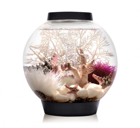 biOrb CLASSIC 15 LED schwarz