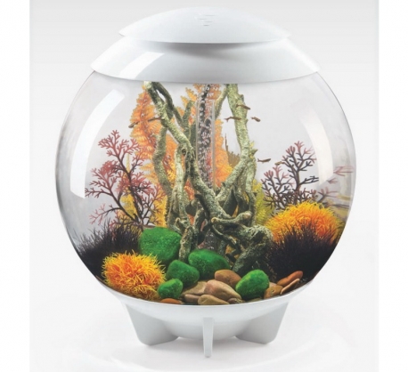 biOrb Deko Rezept 61102 fr 60L Aquarien