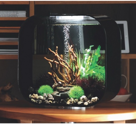 biOrb Deko Rezept 61106 fr 30L Aquarien