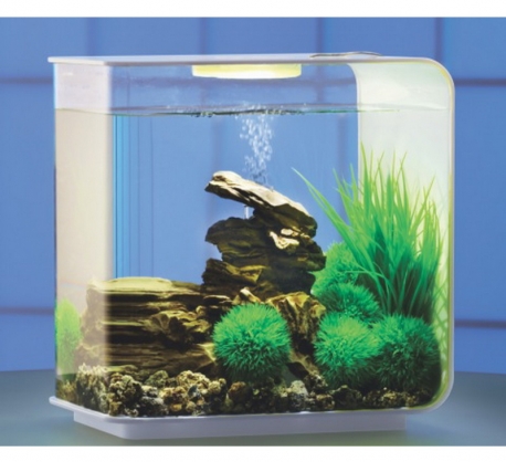 biOrb Deko Rezept 61109 fr 15L Aquarien