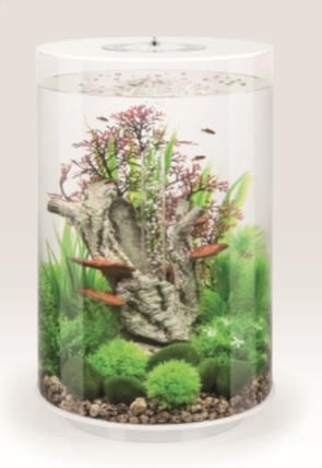 biOrb Deko Rezept 61400 fr 30L Aquarien