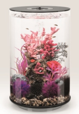 biOrb Deko Rezept 61401 fr 30L Aquarien