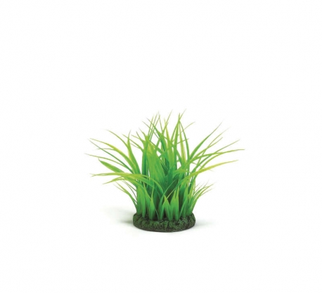 biOrb Grasring S grn