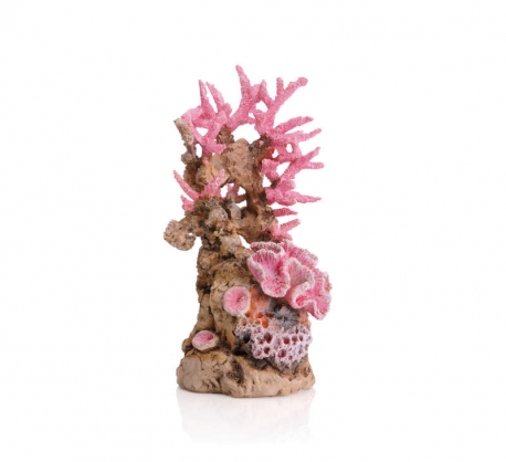 biOrb Korallenriff Ornament pink