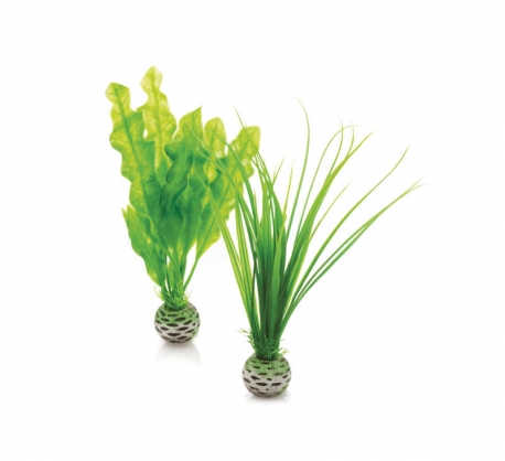 biOrb Pflanzen Set S grün