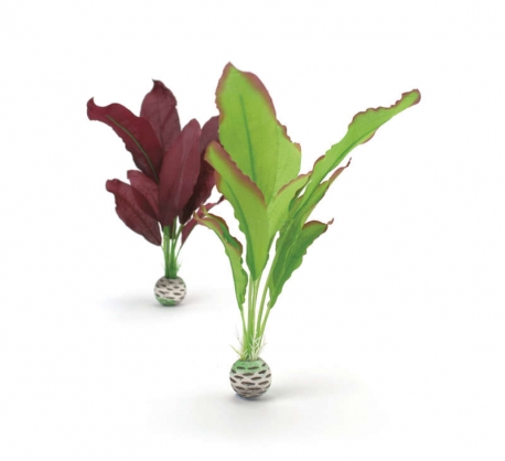 biOrb Seidenpflanzen Set M grün & lila