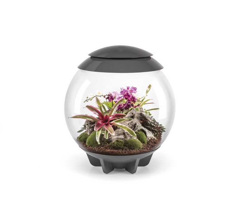 biOrb AIR 60 grau
