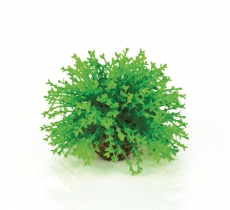 biOrb Blumenball grn