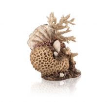 biOrb Korallen-Muschel Ornament natural