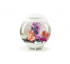 biOrb Deko Rezept 61100 fr 30L Aquarien