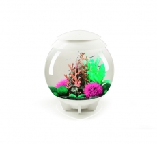 biOrb Deko Rezept 61101 fr 30L Aquarien