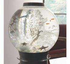 biOrb Deko Rezept 61104 fr 105L Aquarien