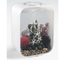 biOrb Deko Rezept 61108 fr 15L Aquarien