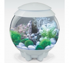 biOrb Deko Rezept 61110 fr 15L Aquarien