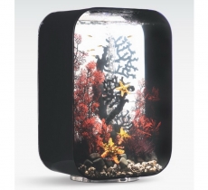 biOrb Deko Rezept 61107 fr 60L Aquarien