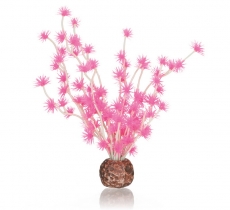 biOrb Bonsai Ball pink