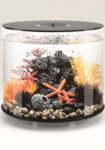 biOrb Deko Rezept 61402 fr 35L Aquarien