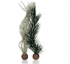 biOrb Ambulia grau/grn L