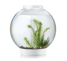 biOrb CLASSIC 30 MCR wei