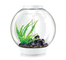 biOrb CLASSIC 60 LED wei