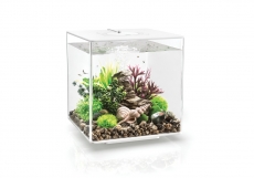 biOrb CUBE 30 LED wei