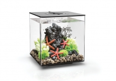 biOrb CUBE 30 MCR schwarz