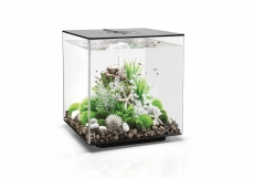 biOrb CUBE 60 MCR schwarz