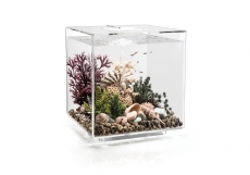 biOrb CUBE 60 MCR transparent
