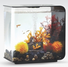 biOrb Deko Rezept 61105 fr 30L Aquarien