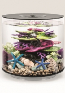biOrb Deko Rezept 61399 fr 15L Aquarien