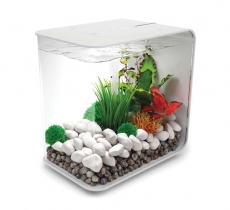 biOrb FLOW 30 MCR wei