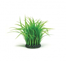 biOrb Grasring M grn