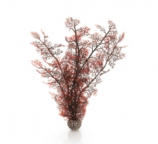 biOrb Hornkoralle L dunkelrot