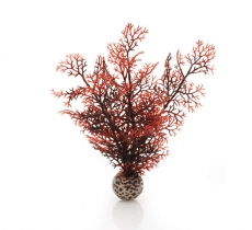 biOrb Hornkoralle S dunkelrot