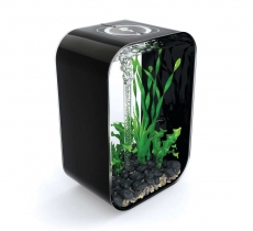 biOrb LIFE 45 MCR schwarz