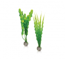 biOrb Pflanzen Set M grn