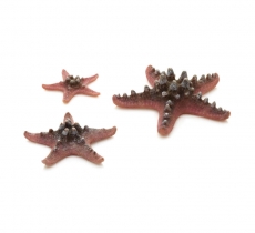 biOrb Seestern Set 3 pink