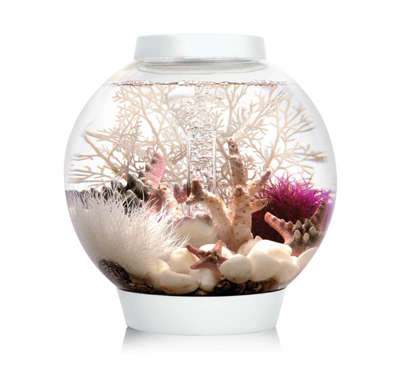 biOrb Aquarium - alle Modelle auf biorb24.de günstig kaufen!