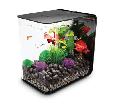 biOrb Aquarium - alle Modelle auf biorb24.de günstig kaufen!