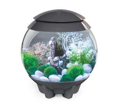 biOrb Aquarium - alle Modelle auf biorb24.de günstig kaufen!