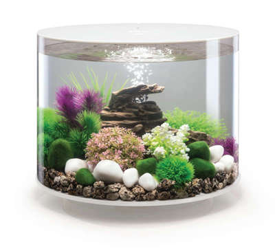 biOrb Aquarium - alle Modelle auf biorb24.de günstig kaufen!