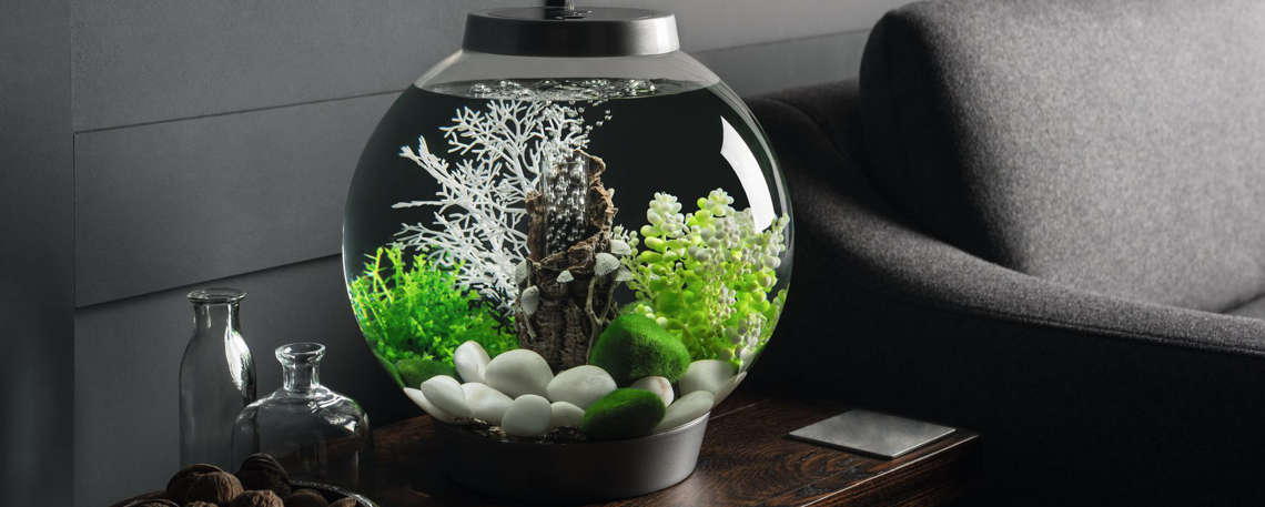 Modelle Aquarium biOrb - auf günstig biorb24.de kaufen! alle