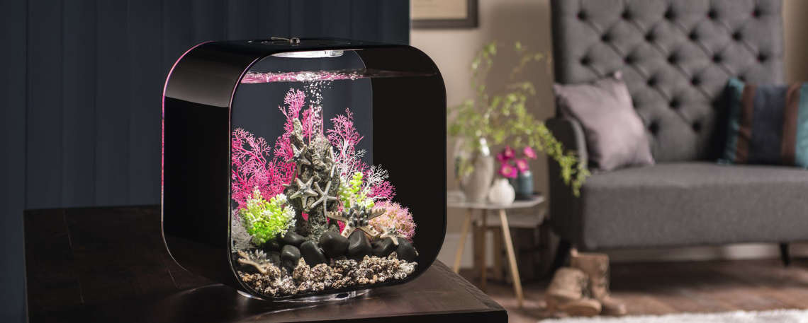 biOrb Aquarium - alle Modelle auf biorb24.de günstig kaufen!